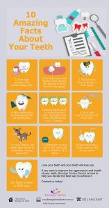 Bendigo Smiles Dentist | 10 Incredible Facts About Your Teeth That You Didnt Know Before P |Dentist Bendigo